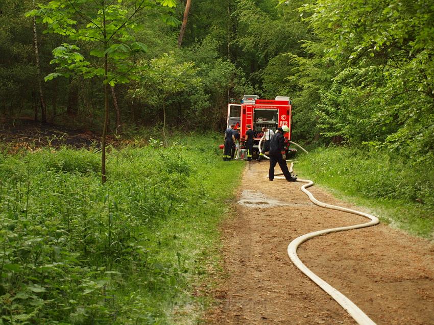 Waldbrand Bergisch Gladbach Bensberg P128.JPG